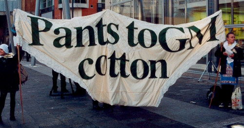 pants to GM cotton